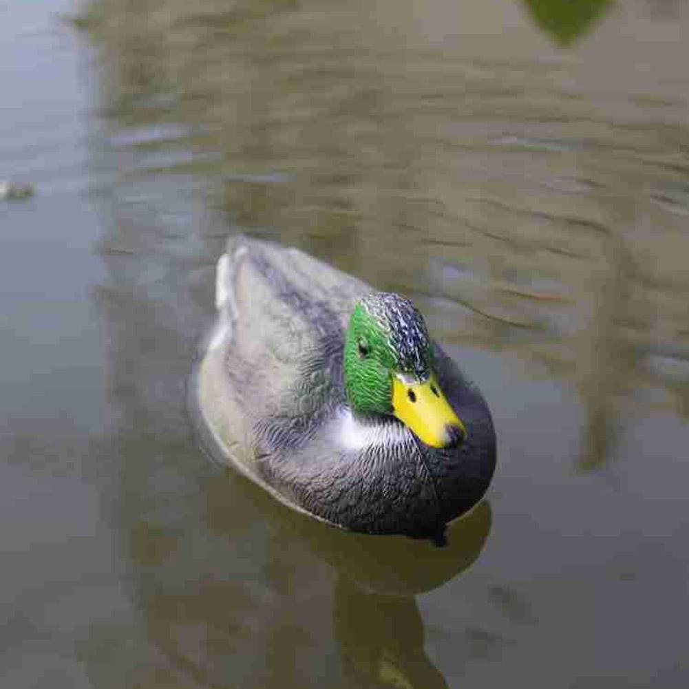 หุ่นเป็ดจำลองลอยน้ำ สำหรับตกเป - Decoy Duck Plastic บทวิจารณ์และราคา