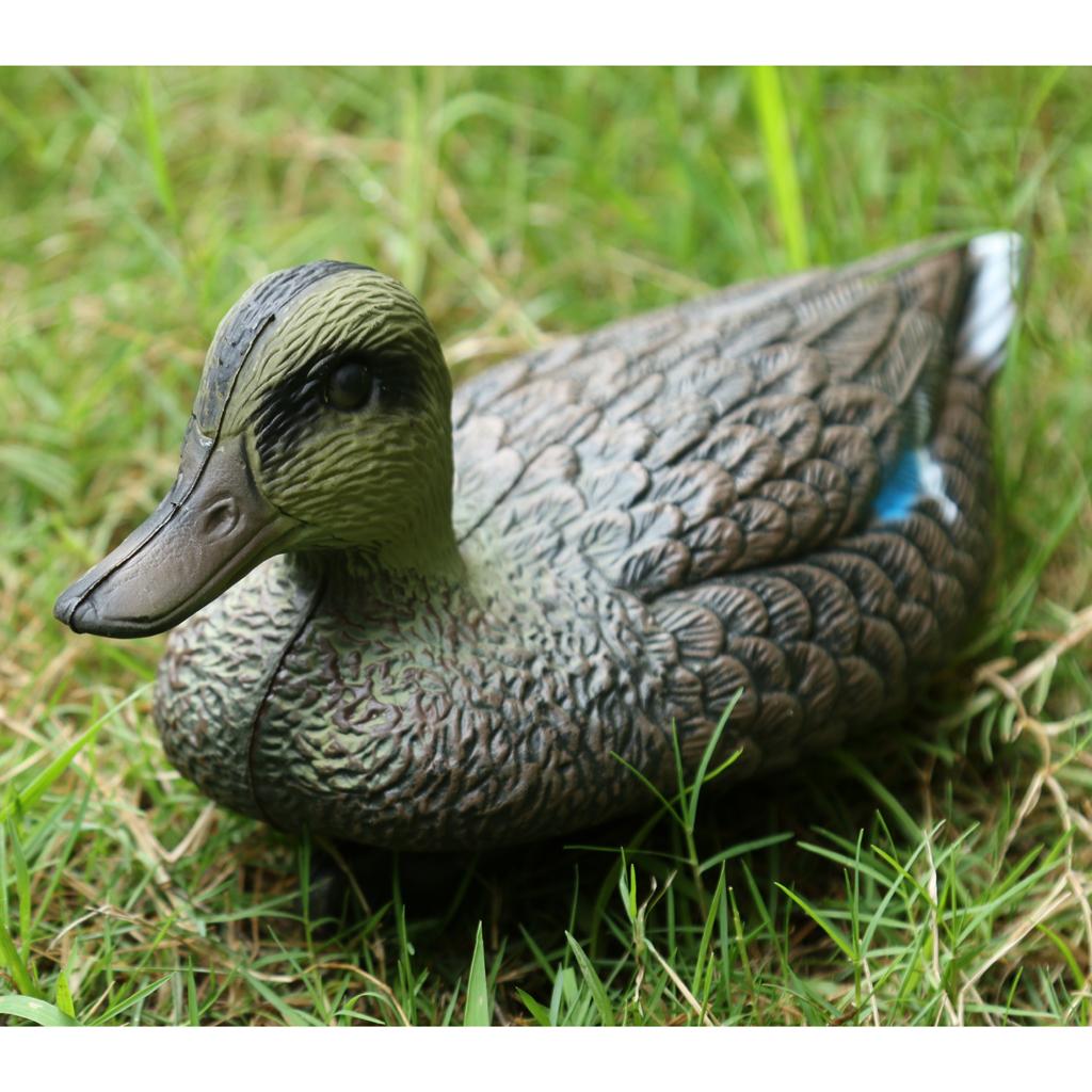 ของตกแต่งรูปเป็ดแมนดาริน ของจำ - Decoy Duck Plastic บทวิจารณ์และราคา
