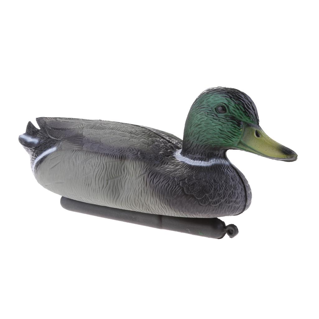 หุ่นล่อเป็ดน้ำมีน้ำหนัก สมจริง - Decoy Duck Plastic บทวิจารณ์และราคา