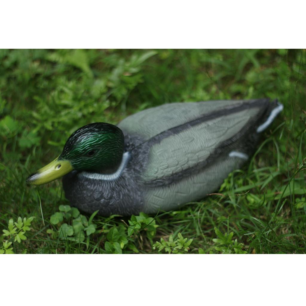 หุ่นล่อเป็ดน้ำมีน้ำหนัก สมจริง - Decoy Duck Plastic บทวิจารณ์และราคา