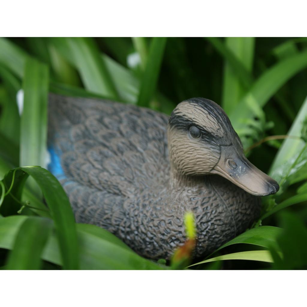 หุ่นเป็ดแมนดารินเทียม ของตกแต่ - Decoy Duck Plastic บทวิจารณ์และราคา