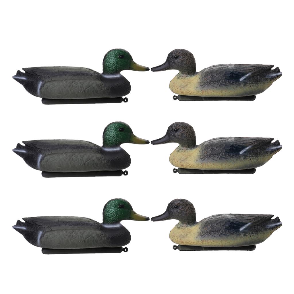 หุ่นจำลองเป็ดลอยน้ำขนาดเท่าของ - Decoy Duck Plastic บทวิจารณ์และราคา