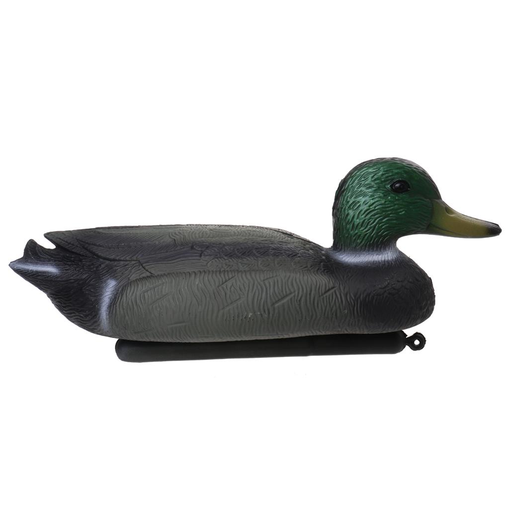 หุ่นจำลองเป็ดลอยน้ำขนาดเท่าของ - Decoy Duck Plastic บทวิจารณ์และราคา