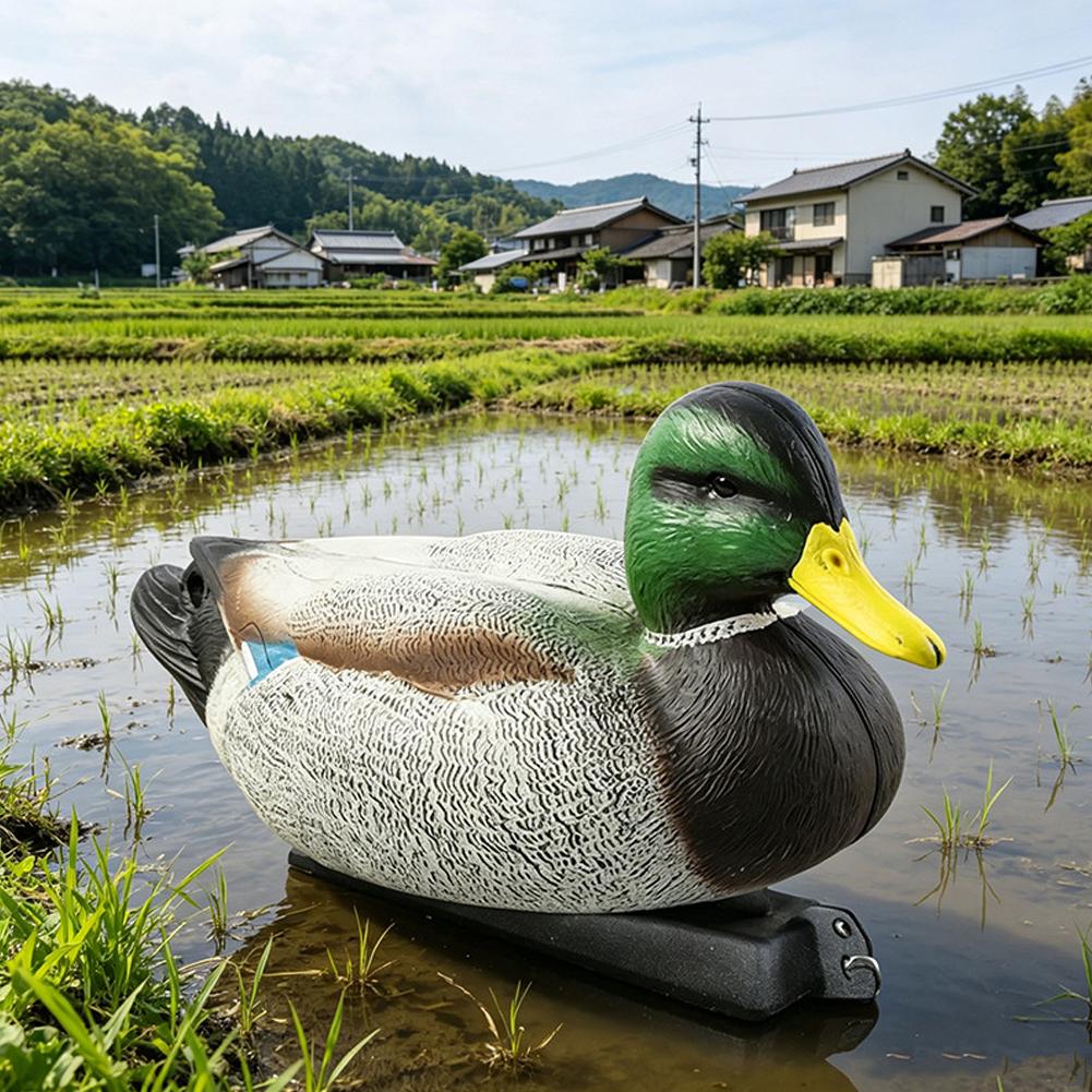 เหยื่อล่อเป็ดลอยน้ำ 3 มิติ สมจ - Decoy Duck Plastic บทวิจารณ์และราคา